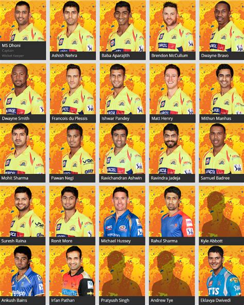 Ipl 8 Chennai Super Kings Csk 2015 Full Team Players List With Photos