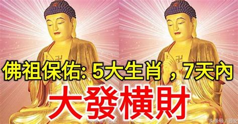 未來7天，佛祖庇佑這5大生肖大發橫財，你上榜了嗎？ 好運發財網