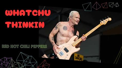 Red Hot Chili Peppers Whatchu Thinkin Bass Cover Youtube