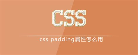 How To Use Css Padding Attribute Css Tutorial Php Cn