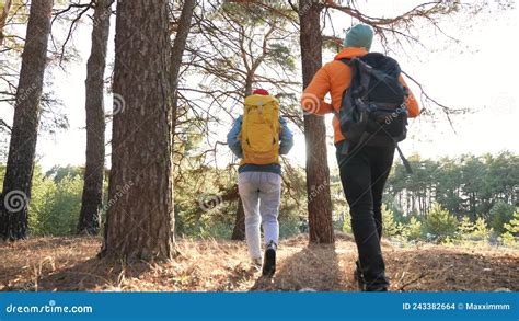 Teamwork A Group Of Hikers Tourists Walk Through The Forest With