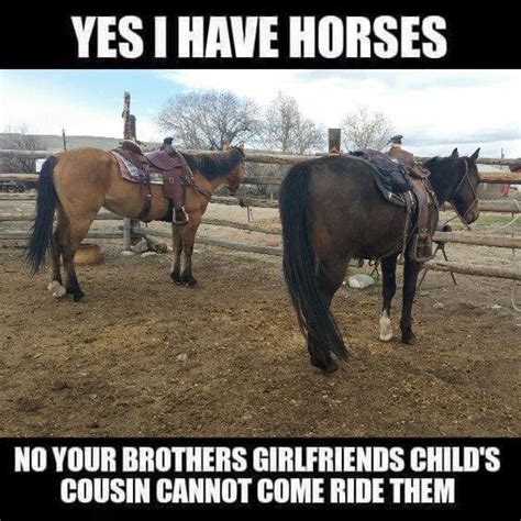 ️this Horse Quotes Funny Funny Horse Pictures Horse Jokes