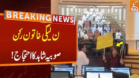 Pml N Sobia Shahid Another Protest In Kp Assembly Breaking News Gnn