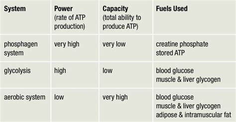 What Is The Definition Of Energy System Derifit