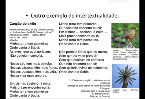 Paródia Da Canção Do Exílio - Parodia Do Poema Canção Do Exilio - NAZAEDU