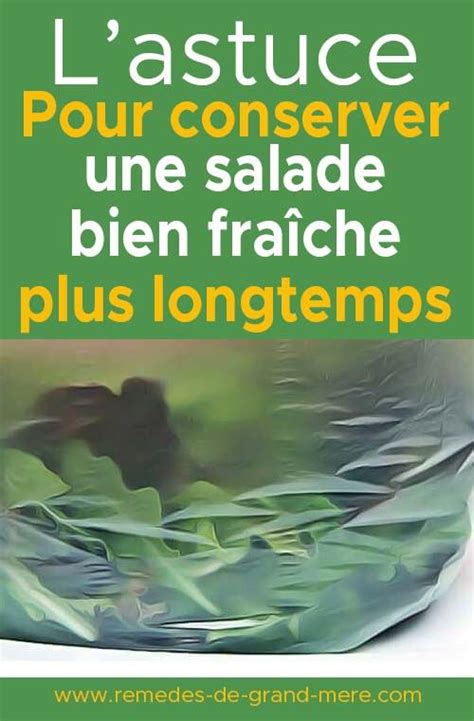 Comment Garder Une Salade Fra Che Plus Longtemps Rem Des De Grand