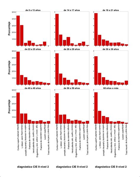 Distribuci N Porcentual De Los Principales Diagn Sticos CIE 9 Nivel II