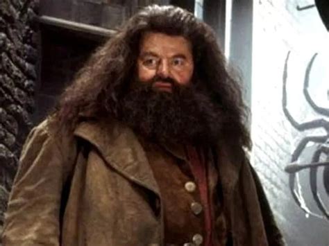 Los Estremecedores Detalles De La Autopsia De Robbie Coltrane Hagrid