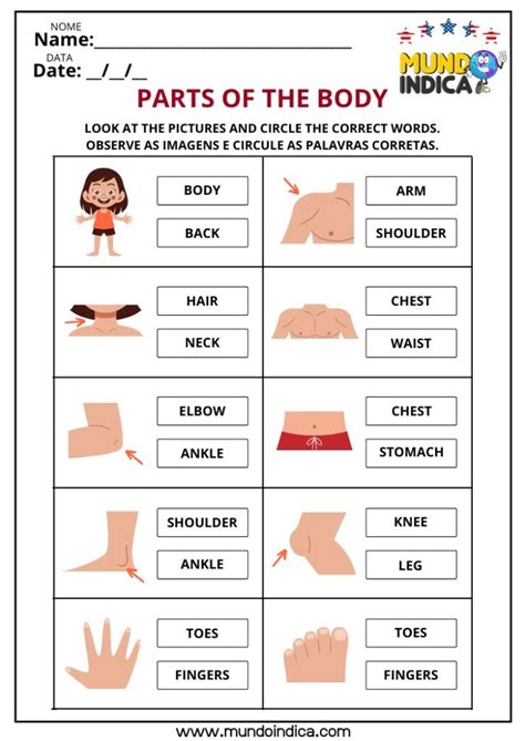 Atividade Partes Do Corpo Ingles