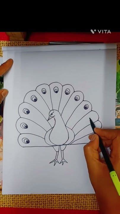 5 Stunning Steps To Create An Elegant Peacock In Minutes