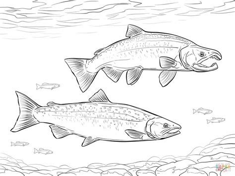 Alaska Salmon Coloring Pages