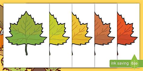 👉 Printable Pictures Of Autumn Leaves A4 Cut Outs