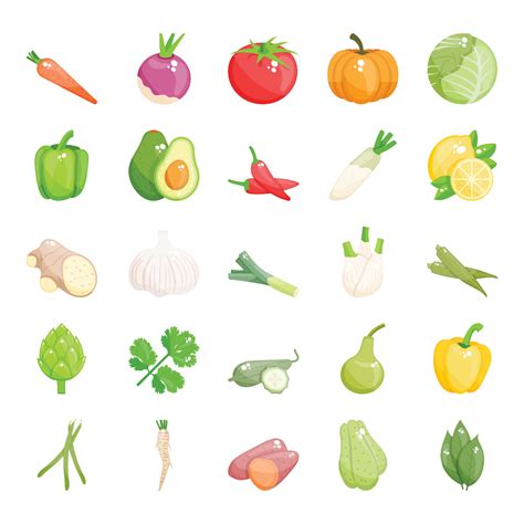 winter season vegetables  vector art  vecteezy