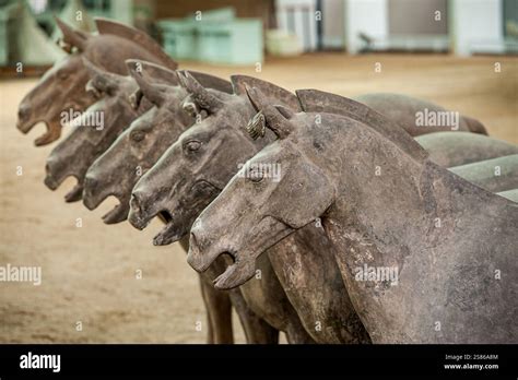 The Terracotta Army Consists Of 8000 Soldiers 130 Chariots With 520