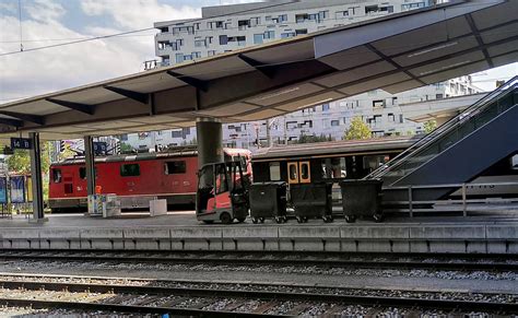 Trains have hatched in Switzerland. Not disturbed by humans, thanks to