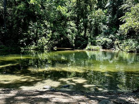 Poço Do Limão E Cachoeira Do Guaratuba Trilha - Trilha do Guaratuba em Bertioga | Poço do Limão e Cachoeira