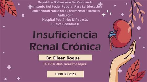 Res Menes De Insuficiencia Renal Cr Nica Descarga Apuntes De