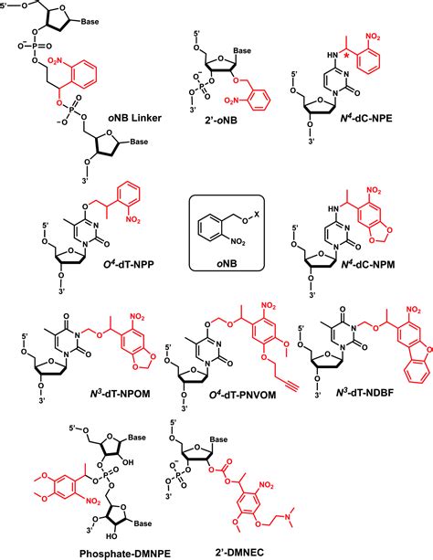 Photochemical Modifications For DNA RNA Oligonucleotides RSC Advances