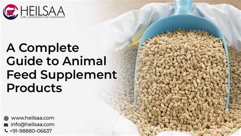 complete guide  animal feed supplement products