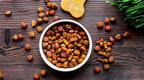 The Benefits of Sorcerous Pet Food in Conan Exiles