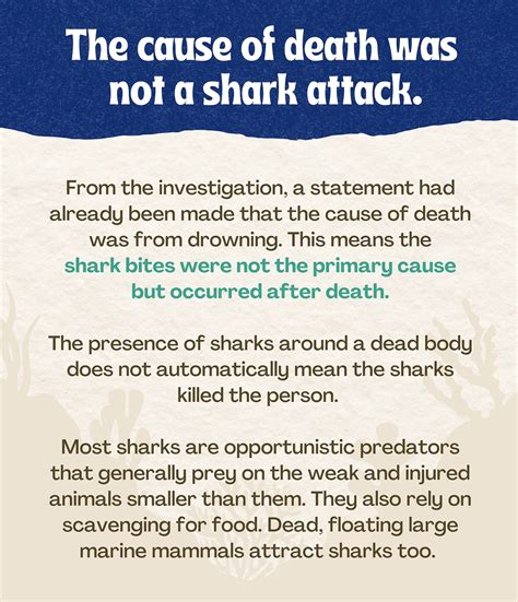 Save Sharks Network... - Save Sharks Network Philippines