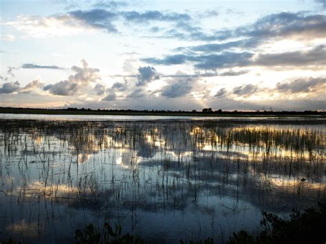 Sullivan's Island Community Impact