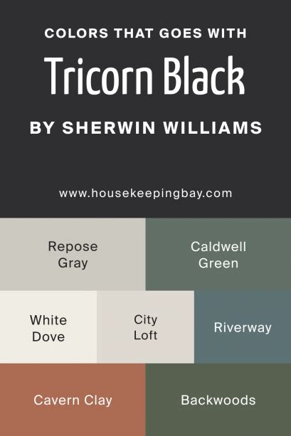 Tricorn Black SW 6258 Paint Color By Sherwin Williams