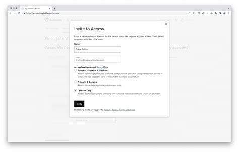 Granting Delegate Access on GoDaddy | Taupecat Studios