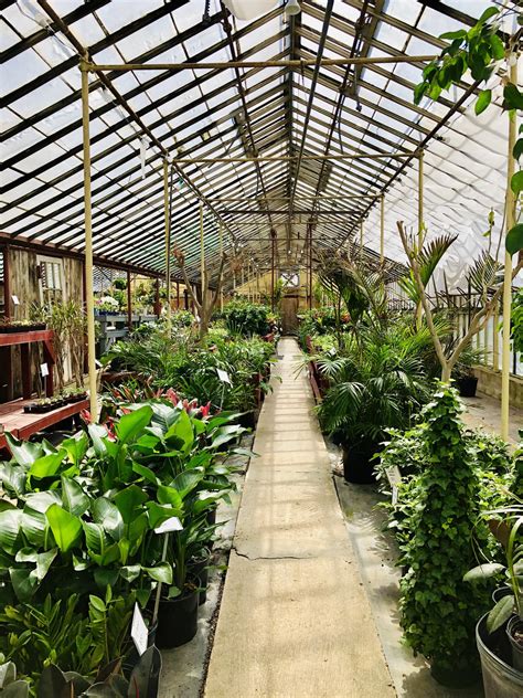 evergreen garden center