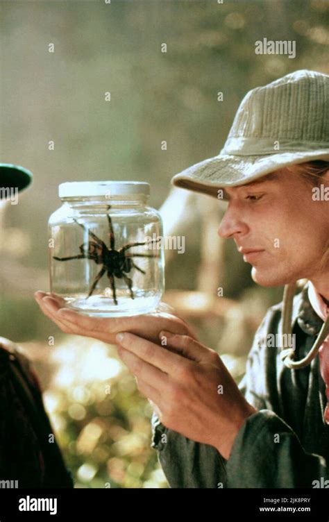 Arachnophobia movie fotografías e imágenes de alta resolución Alamy