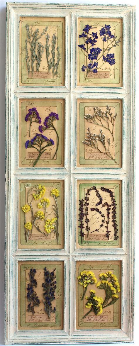 Pressed botanicals pressed flowers set in white wood frame pressed