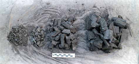 Review Of GrillHunx Lump Charcoal Naked Whiz Ceramic Charcoal Cooking