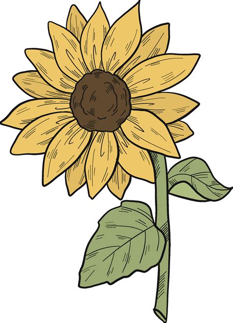 sunflower clipart #3918735 | Clipart Library