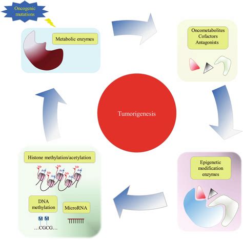 Crosstalks Between Epigenetics And Metabolism In Cancer Development