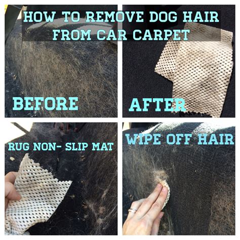 Dog Hair Removal from Car Carpet