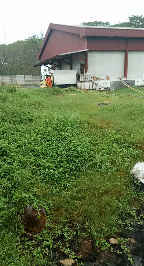 petra sejahtera abadi cidokom  kota bogor