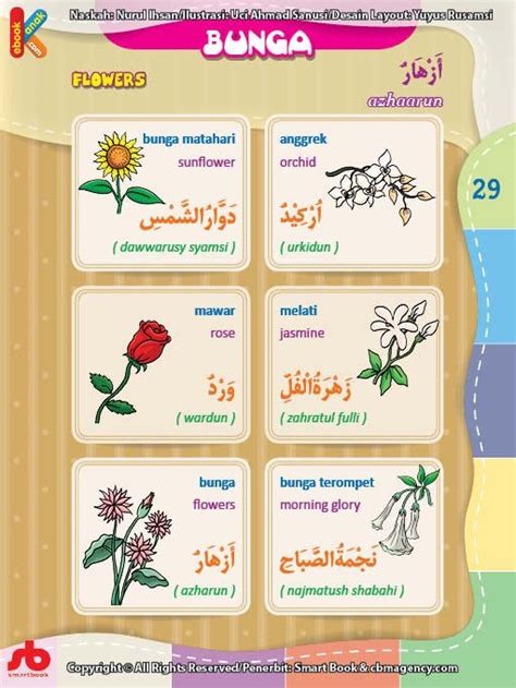 kamus bergambar anak muslim nama nama bunga bahasa indonesia inggris