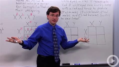 Sex Linked Genes HD YouTube