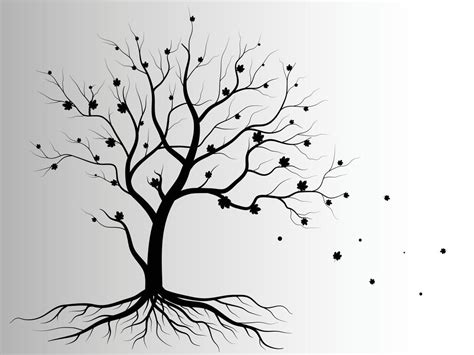 Black Branch Tree Or Naked Trees Silhouettes Set Hand Drawn Isolated Illustrations 18976665