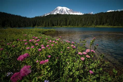 visit spots  washington state  nature lovers travel noire