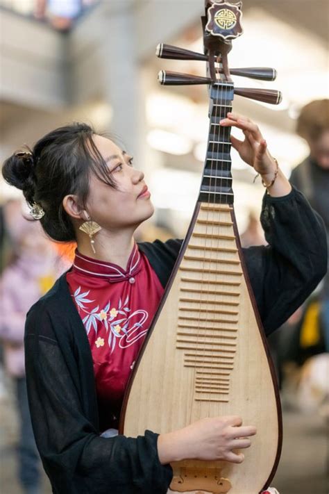 chinese pipa