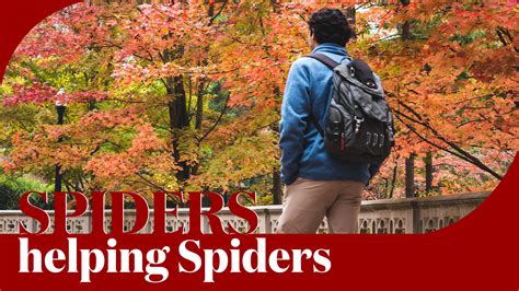 Generous Spiders provide a web of support for students - URNow