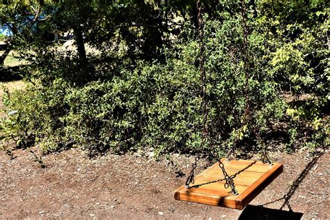 swing playground outdoors  photo  pixabay pixabay