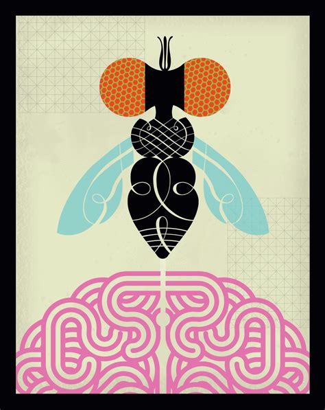 Super fly • Discovery