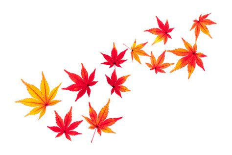 istock