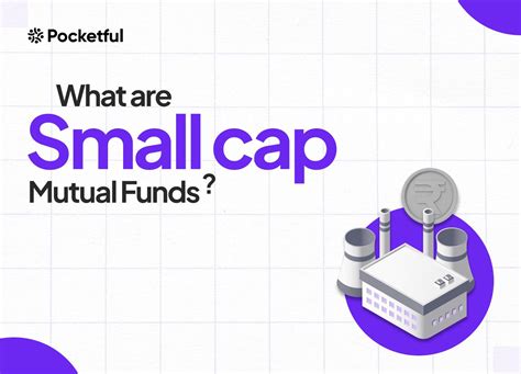 What are Small Cap Mutual Funds? Definition, Advantages, and Risks ...