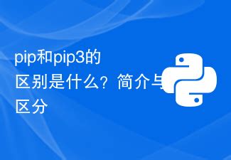 difference  pip  pip introduction
