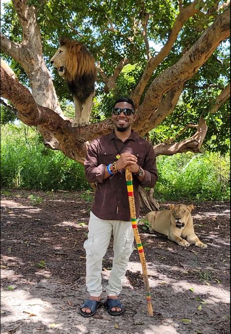 Urban Flight Collective