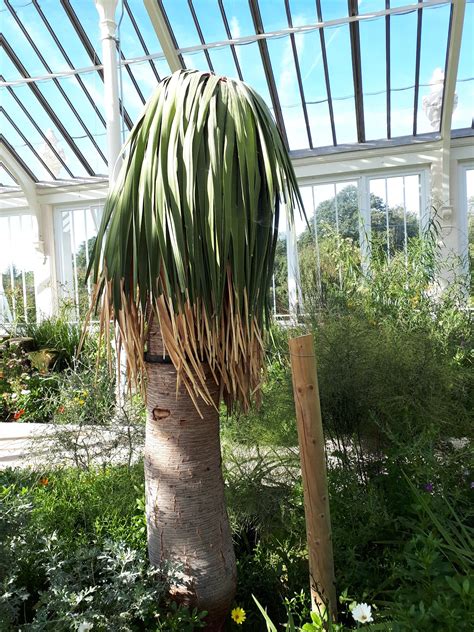 Thelma's Days: Royal Botanic Kew Gardens ~ London