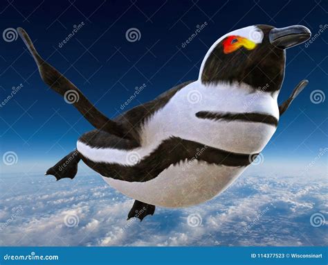 real flying penguin